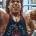 QUALITY MUSCLE – OLDSCHOOL BODYBUILDING TRAINING – ORIGINAL PHYSIQUES