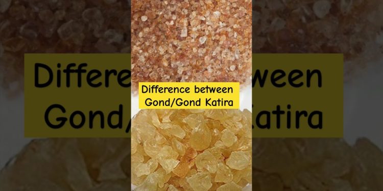Gond vs. Gond Katira: What’s the Difference? | Gond Katira Healthy Drink Recipe #shorts #ytshorts