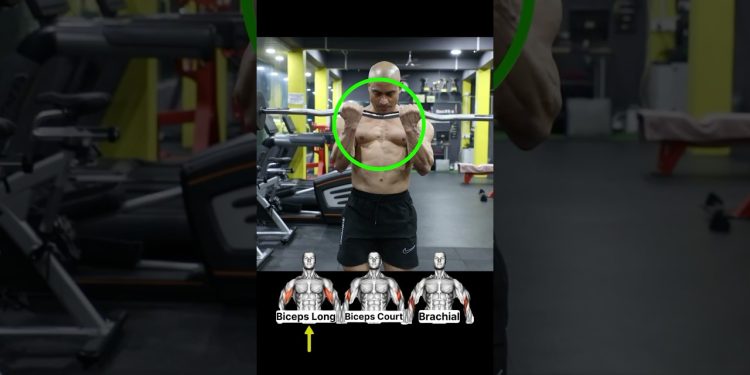 "Transform Your Bicep Game: EZ Bar Curl Grip Variations!"#shorts #fitness #motivation