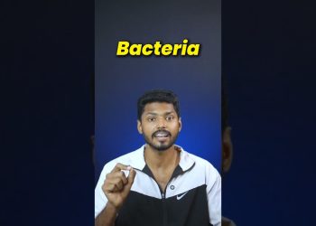 Is Kallu (Toddy) a Healthy drink? #kallu #seeman #healthtips #healthyeating #akashdevfitness