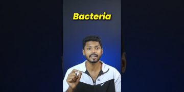 Is Kallu (Toddy) a Healthy drink? #kallu #seeman #healthtips #healthyeating #akashdevfitness