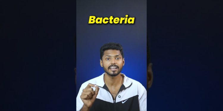 Is Kallu (Toddy) a Healthy drink? #kallu #seeman #healthtips #healthyeating #akashdevfitness