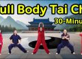 30 MIN Tai Chi Exercise for Women | Lose Weight Stay Slim and Boost Health