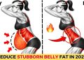 ➜Lose Stubborn Belly Fat Quickly ➜ 30-Min Standing Abs Workout 🔥No Jumping (Reduce fat in 2026)