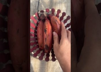 Healthy breakfast | fruits smoothie | #diet | fresh juice | banana almonds | credits Dr. Sivaraman