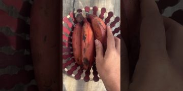 Healthy breakfast | fruits smoothie | #diet | fresh juice | banana almonds | credits Dr. Sivaraman