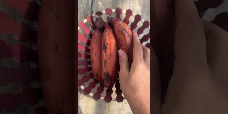 Healthy breakfast | fruits smoothie | #diet | fresh juice | banana almonds | credits Dr. Sivaraman