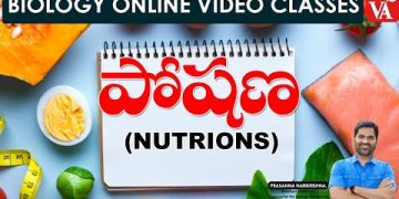 పోషణ – Nutrition | Biology Online Video Classes in Telugu | Prasanna Harikrishna Sir | Vyoma Academy