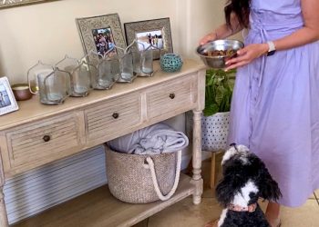 Healthy homemade dog food recipe