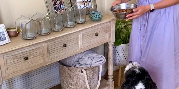 Healthy homemade dog food recipe