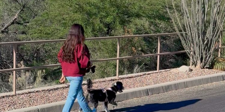 Low-Effort Wellness Habits That Actually Make a Difference