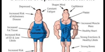 Testosterone Replacement Therapy (TRT) – Part 1 – IronMag Bodybuilding & Fitness Blog