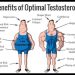 Testosterone Replacement Therapy (TRT) – Part 1 – IronMag Bodybuilding & Fitness Blog