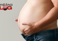 6 Things You Should Do to Lose Visceral Fat – IronMag Bodybuilding & Fitness Blog