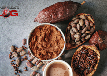 Can Cocoa Flavanols Boost Stem Cell Production? – IronMag Bodybuilding & Fitness Blog