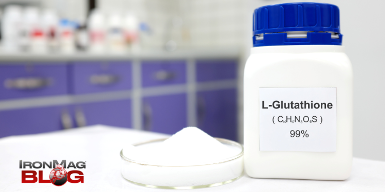 10 Foods That Can Boost Your L-Glutathione Levels – IronMag Bodybuilding & Fitness Blog
