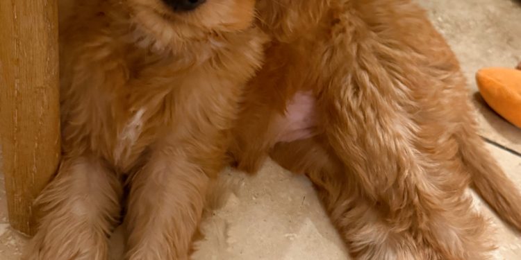 1.9 Friday Faves – The Fitnessista