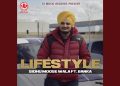 Lifestyle (feat. Banka)