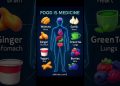 Foods Is Medicine Heal Your Body Naturally #food #foodshorts #medicine #facts #nutrition#healthydiet