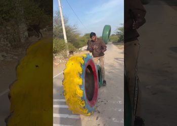 Bhaiii Ko Dekho Jaraa 😱 #fitness #shorts #stunt #desi #power