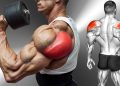 10 Best Rear Delt Exercise (BOULDER SHOULDERS)