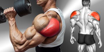 10 Best Rear Delt Exercise (BOULDER SHOULDERS)