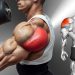 10 Best Rear Delt Exercise (BOULDER SHOULDERS)