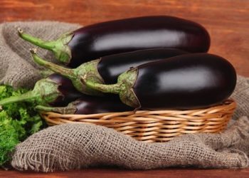 Anise-Flavored Eggplant Stir-Fry | VegKitchen