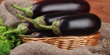 Anise-Flavored Eggplant Stir-Fry | VegKitchen