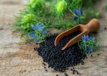Kalonji Seeds – Benefits, Nutrition, & Recipes