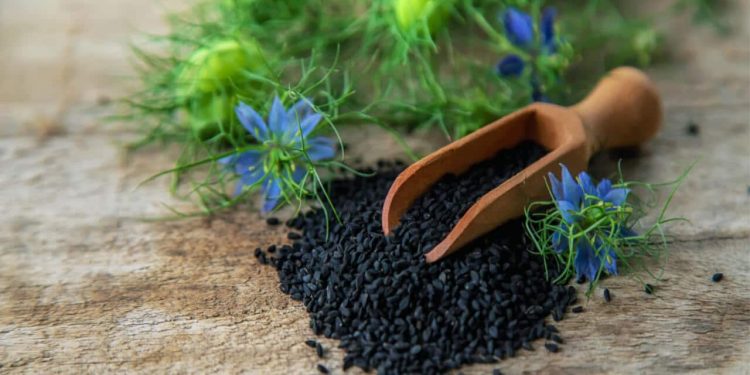 Kalonji Seeds – Benefits, Nutrition, & Recipes