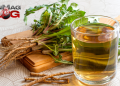 What Are the Health Benefits of Dandelion Tea? – IronMag Bodybuilding & Fitness Blog