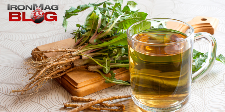 What Are the Health Benefits of Dandelion Tea? – IronMag Bodybuilding & Fitness Blog