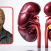Lee Haney Needs a Kidney Transplant – IronMag Bodybuilding & Fitness Blog