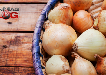 How to Store Onions to Maximize Their Health Benefits – IronMag Bodybuilding & Fitness Blog