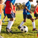 Can Youth Sports Improve Mental Health as an Adult? – IronMag Bodybuilding & Fitness Blog