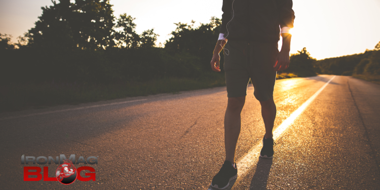 I Tried the 6-6-6 Walking Challenge for an Entire Month—Here’s What Happened – IronMag Bodybuilding & Fitness Blog