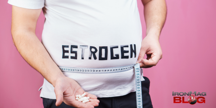 9 Top High Estrogen Foods You Should Know About – IronMag Bodybuilding & Fitness Blog