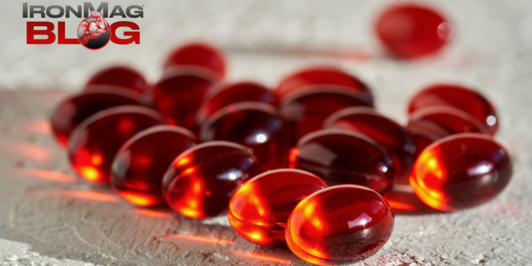 Can Krill Oil Supplements Increase Muscle Strength? – IronMag Bodybuilding & Fitness Blog
