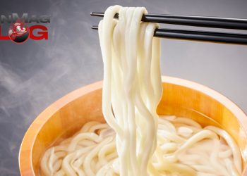 Udon Noodles Benefit Digestion, Immunity, and Stress Levels – IronMag Bodybuilding & Fitness Blog