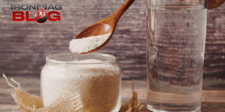 Can a Fiber Supplement Aid in Weight Management? – IronMag Bodybuilding & Fitness Blog