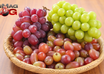 8 Reasons Why Grapes Are a Nutritionally Amazing – IronMag Bodybuilding & Fitness Blog