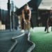 How To Choose A Fitness Certification On A Budget