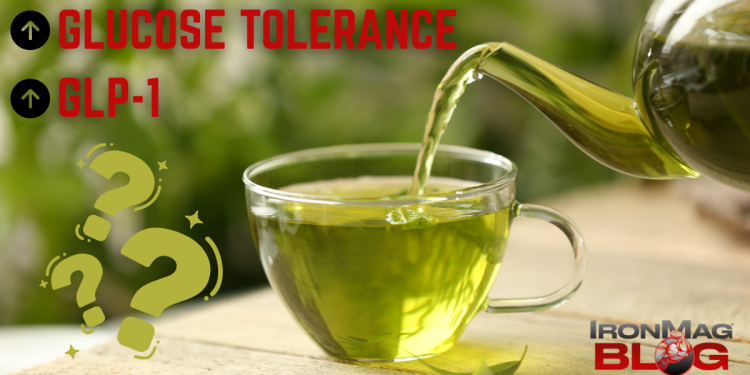 Can Green Tea Increase Glucose Tolerance & GLP-1? – IronMag Bodybuilding & Fitness Blog