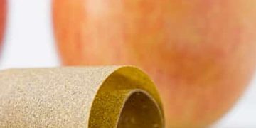 Sneaky Green Apple Fruit Leather
